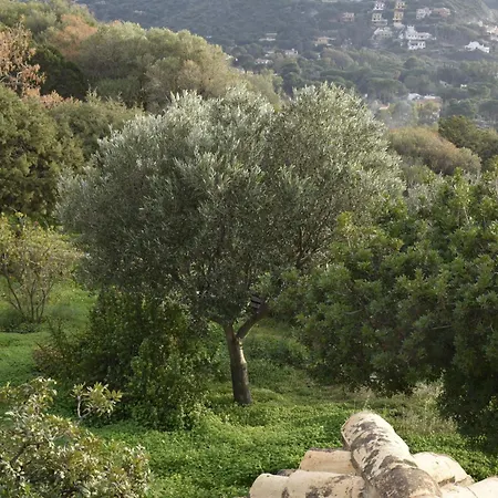 Riccio Di Mare Sardinia Holiday home Marongiu