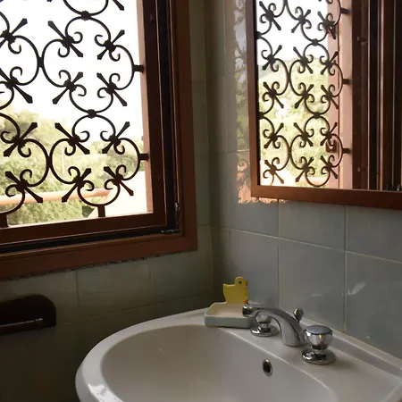 Riccio Di Mare Sardinia * Marongiu