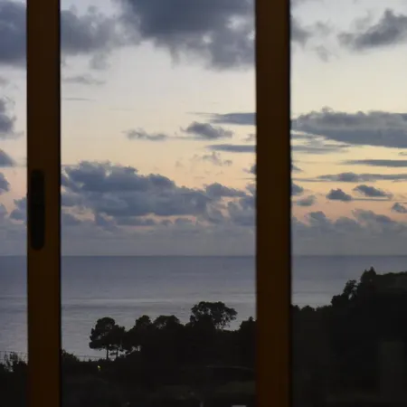 Riccio Di Mare Sardinia *