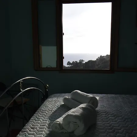 Riccio Di Mare Sardinia * Marongiu