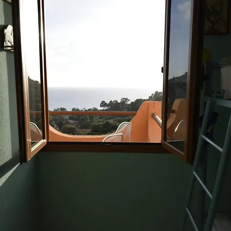 Riccio Di Mare Sardinia *