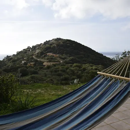 Riccio Di Mare Sardinia Marongiu