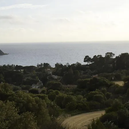 Riccio Di Mare Sardinia