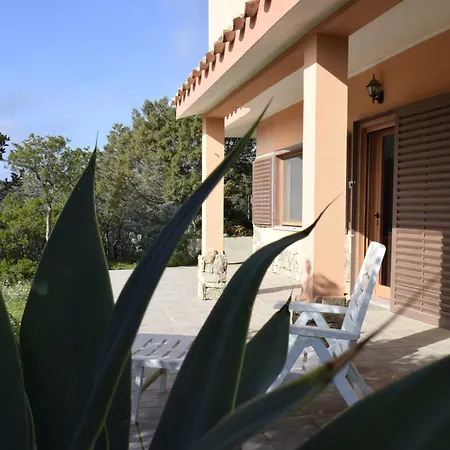 Riccio Di Mare Sardinia